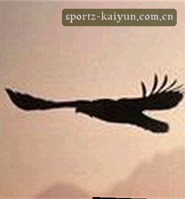 黄宇